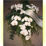 rouwwerk06_orchidee_groen